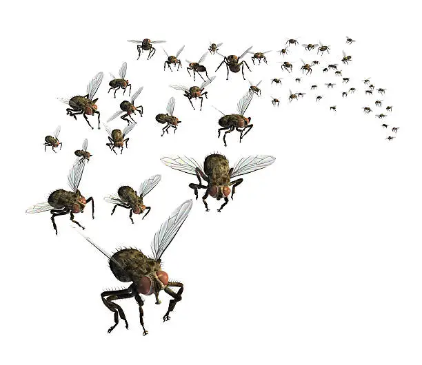 3D render of a swarm of flies - they're headed your way!