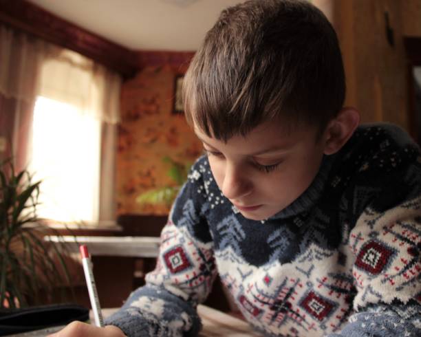 An Asian boy is learning to do homework at home independently.