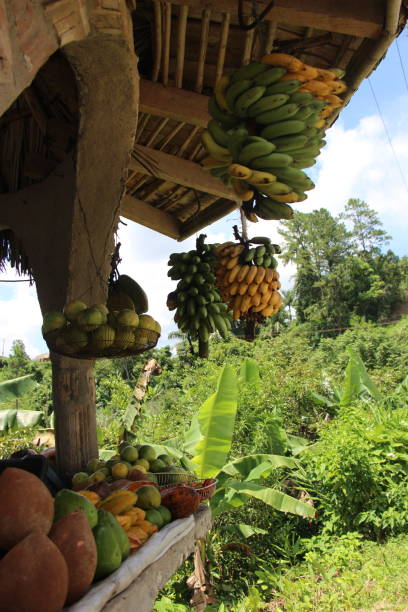 istock Cuba - Topes del Collantes- fruit kiosque 1460577875