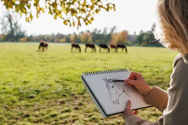 Pencil drawing. Woman artist sketching horse outdoors. Illustrator making sketch