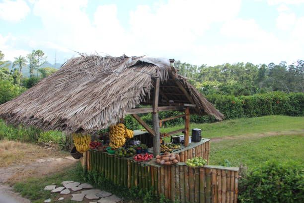 istock Cuba - Topes del Collantes- fruit kiosque 1460579423