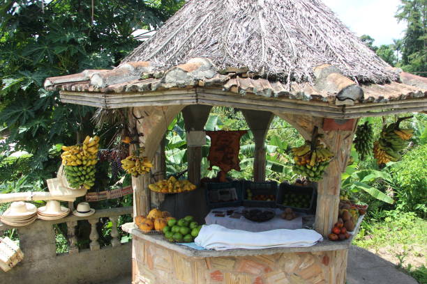 istock Cuba - Topes del Collantes- fruit kiosque 1460579907