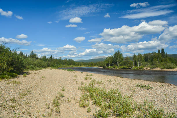 istock UNESCO World Heritage Site Virgin Komi Forests. 1460580041