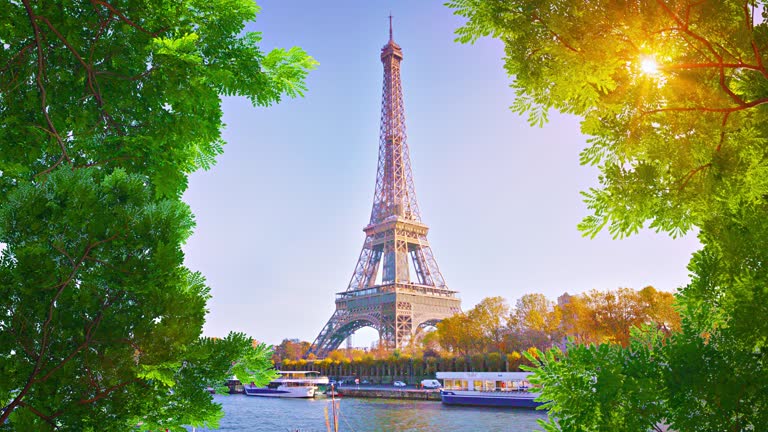 Eiffel Tower in Tree. Paris, Spring, Sun