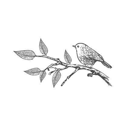simple bird in the branch hand draw style logo and vector illustration