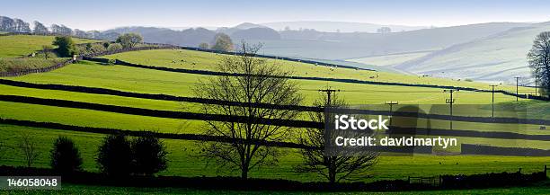 Peak District - Fotografie stock e altre immagini di Agricoltura - Agricoltura, Ambientazione esterna, Animale