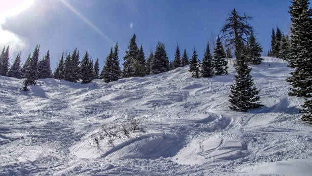 Snow Skiing in Deer Valley, Utah Snow Skiing in Deer Valley, Utah deer valley resort stock pictures, royalty-free photos & images