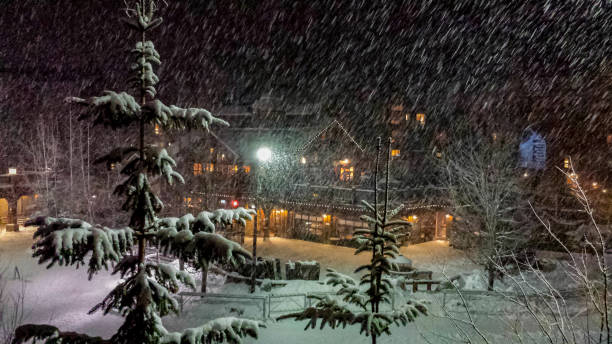 istock Skiing in Whistler 1460581984