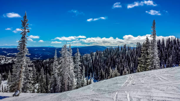 istock Skiing in Steamboat Springs, Colorado 1460582163