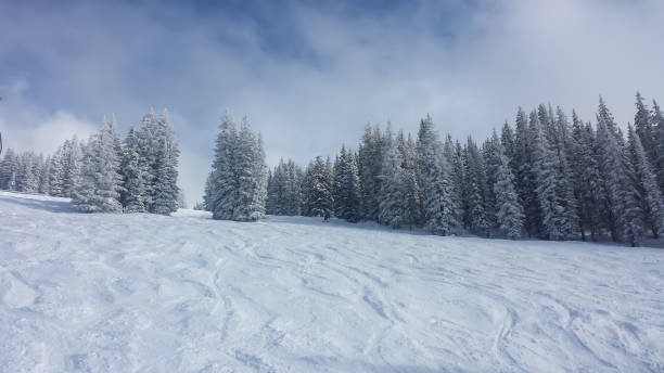 istock Skiing in Vail, Colorado 1460582248