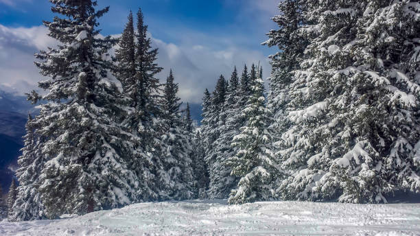 istock Skiing in Vail, Colorado 1460582385