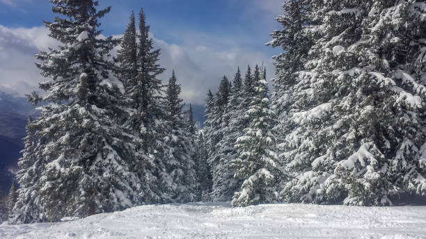 istock Skiing in Vail, Colorado 1460582396