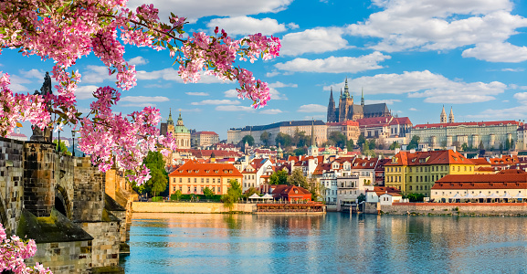 Panorama panorámico de Praga con el castillo de Hradcany y el río Vltava en primavera, República Checa photo