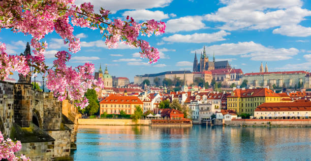 panorama panoramico di praga con il castello di hradcany e il fiume della moldava in primavera, repubblica ceca - charles bridge foto e immagini stock