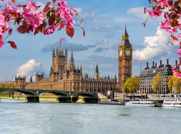 houses of parliament (westminster palace) und big ben tower im frühling, london, großbritannien - large transportation bridge famous place stock-fotos und bilder