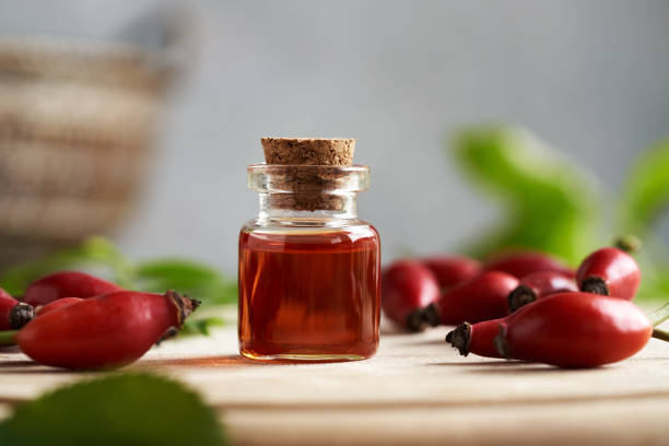 istock Red rosehip seed oil with fresh rose hips 1460586069