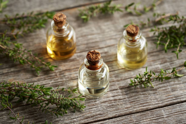 istock Bottles of essential oil with fresh thyme twigs 1460586105