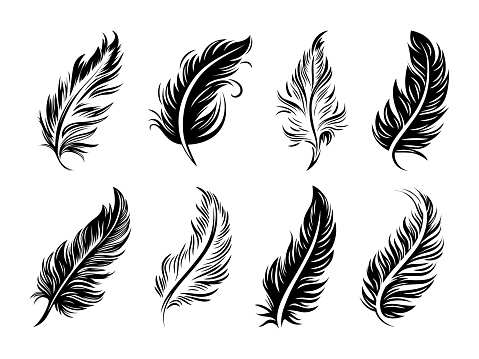 Vector Fluffy Feather Silhouette Icon Set Isolated. Design Template of Flamingo, Angel, Bird Feathers for Logo. Lightness, Freedom Concept.