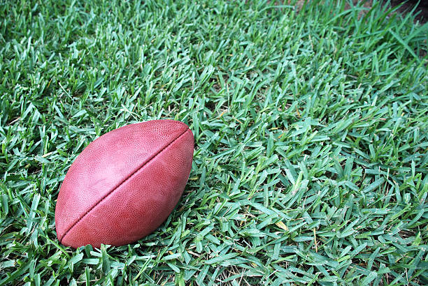istock Ready for some Football 146058950