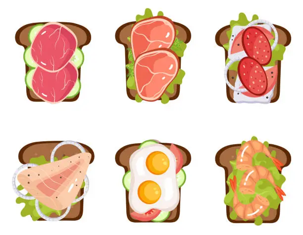 Vector illustration of Breakfast toast sandwich illustration bread healthy vegan food snack ingredient set. Vector cartoon graphic design element