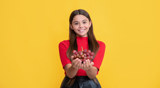 positive kid hold bunch of grapes on yellow background.