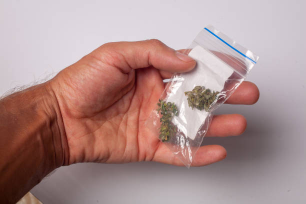 istock hand with pack of marijuana 1460591116