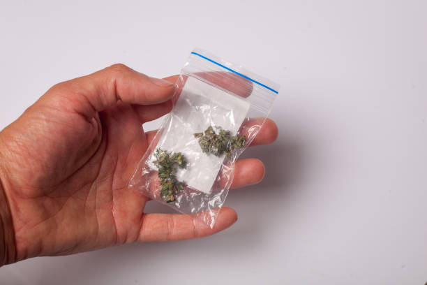 istock hand with pack of marijuana 1460591225