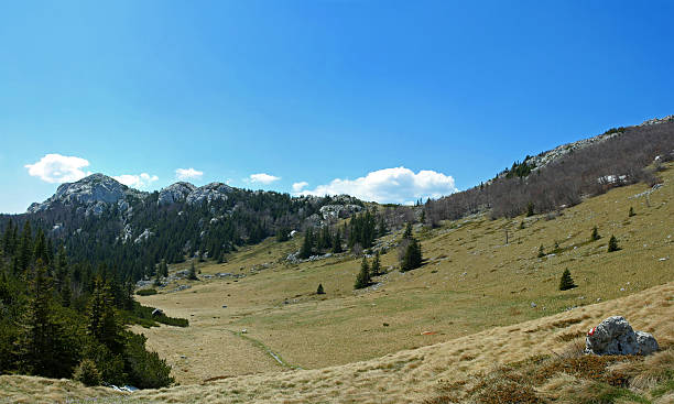 istock Mountain scene, Velebit, Croatia 4 146059124