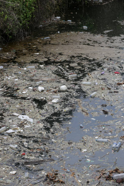 istock A giant floating rubbish heap floating in the river, plastic pollution, waste-clogged rivers. Huge environmental and health hazard. Problem of plastic that ends up in freshwater ecosystems. 1460596051