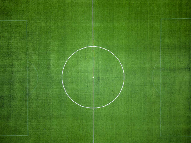 istock empty green grass soccer field, aerial view 1460596100