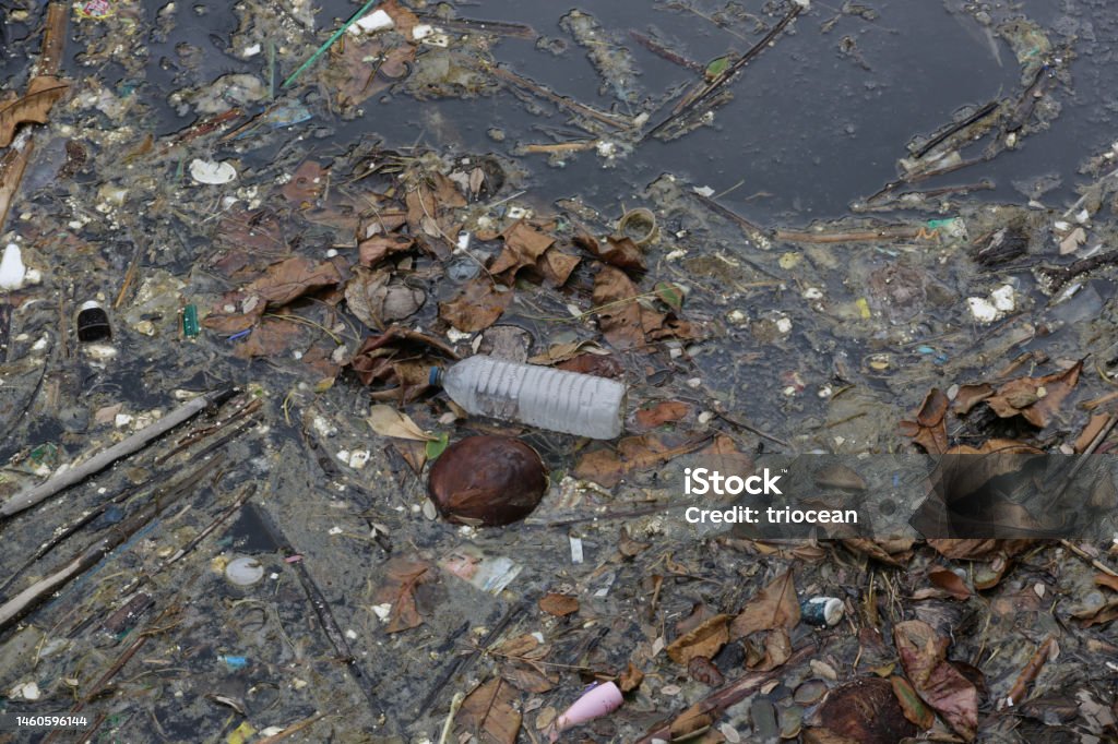 Clogged Rivers A Giant Floating Rubbish Heap Floating In The River Plastic Pollution ...