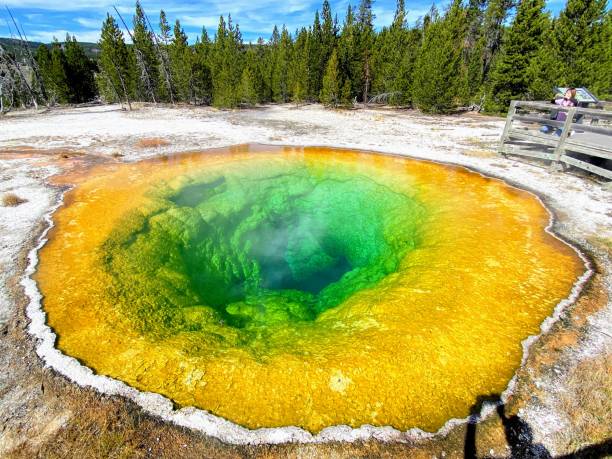 istock Multicolored Hot Spring, Yellowstone National Park 1460596518