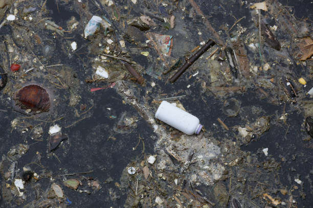 istock A giant floating rubbish heap floating in the river, plastic pollution, waste-clogged rivers. Huge environmental and health hazard. Problem of plastic that ends up in freshwater ecosystems. 1460597341