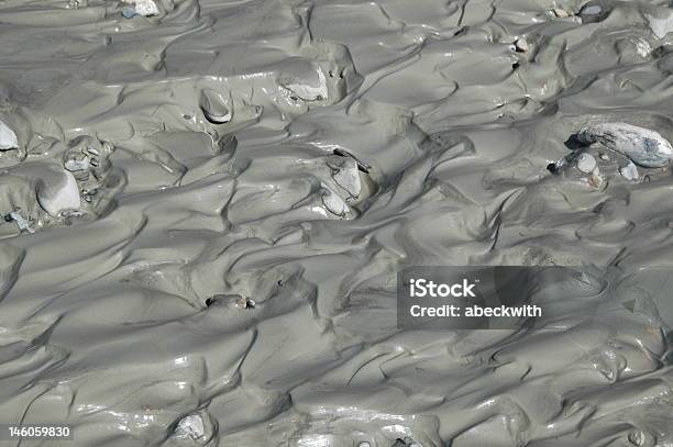 Glorious Mud Stock Photo - Download Image Now - Alaska - US State, Gray Color, Horizontal