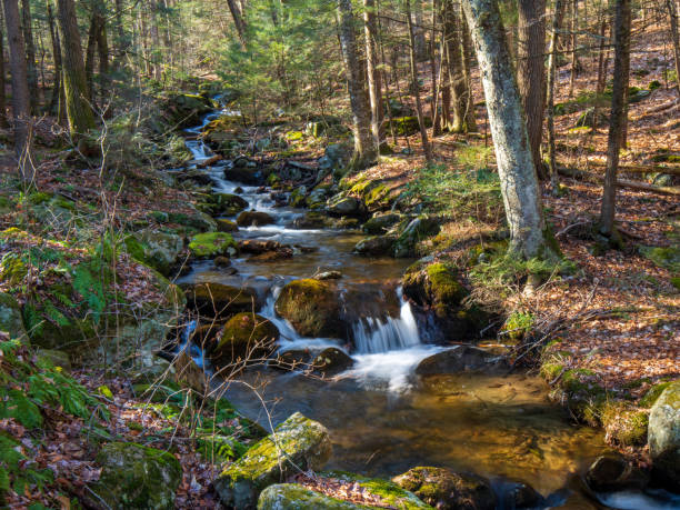 Small waterfalls in Ring Brook stock photo
