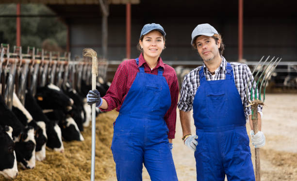 istock Positive diverse cow farm workers squatting in cowshed 1460599504
