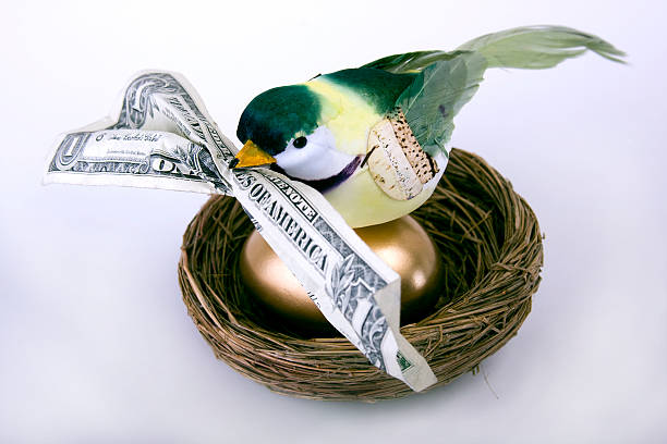 Bird on Gold Egg with Money in Beak Green, yellow and purple bird on gold egg in nest.  Has dollar bill in beak. the early bird catches the worm stock pictures, royalty-free photos & images