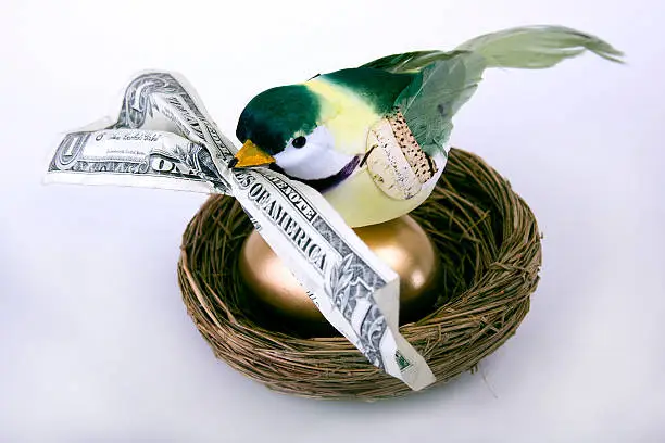 Photo of Bird on Gold Egg with Money in Beak