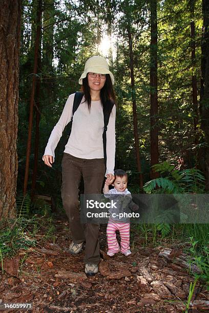 Primeros Pasos De Bebé Niña En El Bosque Foto de stock y más banco de imágenes de 12-17 meses - 12-17 meses, Adulto, Adulto joven