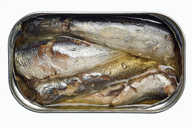 istock Open can of sardines in olive oil 146060067