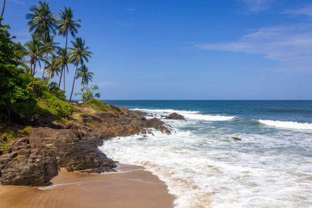 istock Rocks, waves, sand and vegetation at Praia do Resende beach 1460601563