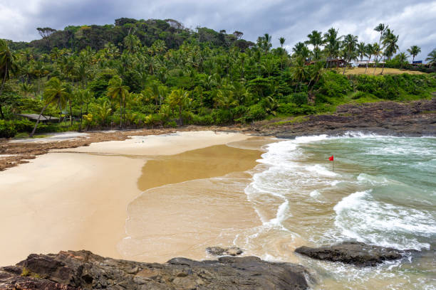 istock Vegetation, sand and waves at Praia da Costa beach 1460601896