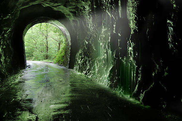 Old tunnel of the Plazaola´s  train. Leitzaran Valley, Navarra. Spain