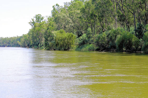 istock Cobram, Victoria, Australia 1460606826