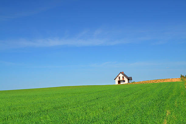 little summer house in grass field, see more related images at: