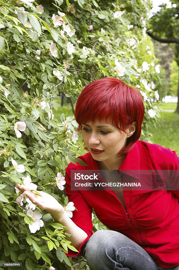 Beautiful girl smells a rose The young beautiful girl smells a rose Adult Stock Photo