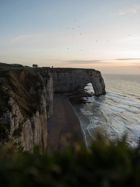 istock Panoramic view of Etretat chalk complex white cliffs natural bridge Aiguille needle atlantic ocean coast Normandy France 1460612762