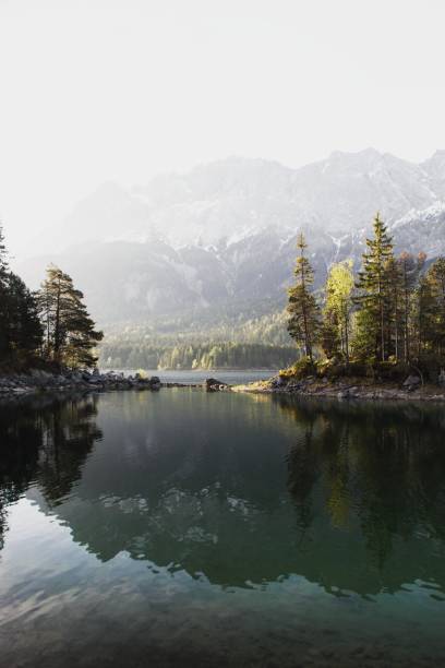 riflesso del lago eibsee di fronte a zugspitze, baviera, germania - spring forest scenics reflection foto e immagini stock