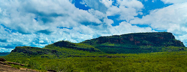 istock Australia NT in the wet season 146061472