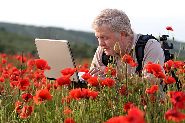 fotógrafo en el campo de amapolas - poppy flower field red fotografías e imágenes de stock